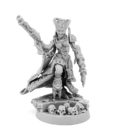 RV_Review_Wargames_Exclusive_Space_Elf_Spiders_Inquisitor_Daemonette_1