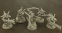 RV_Review_Wargames_Exclusive_Space_Elf_Spiders_Inquisitor_Daemonette_34