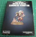 brueckenkopf-online_review-games-workshop-canoness-veridyian-2