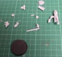 brueckenkopf-online_review-games-workshop-canoness-veridyian-8