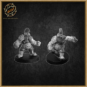 wm_willy_miniatures_dwarf_team_im_shop_10