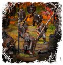 Forge World_The Hobbit IRON HILLS WARBAND 3