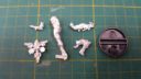 RV_Review_Corvus_Belli_Operation_Red_Veil_39