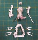 RV_Review_Corvus_Belli_Operation_Red_Veil_42