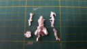 RV_Review_Corvus_Belli_Operation_Red_Veil_50