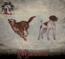CMG_Carnevale_Miniatures_Game_Black_Lamp_Dogs_King_Previews_8
