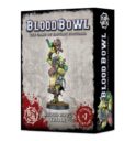 GW_Games_Workshop_Blood_Bowl_Orcs_Troll_Werkzeug_White_Dwarf_Warhammer_Wargear_11