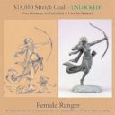 DSM_Dark_Sword_Miniatures_Stephanie_Law_Kickstarter_Fantasy_Classes_13