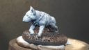 Bullterrier2