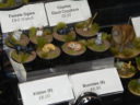 Salute 2017 Dice Bag Lady 11