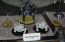 Salute 2017 Maelstroms Edge 6