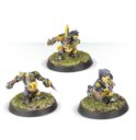 GW Blood Bowl The Scarcrag Snivellers 2