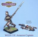 CG Crocodile Games Wargods Amazonen 3