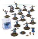 Games Workshop Warhammer Blood Bowl Sammlung Reikland Reavers