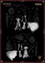 Kimera Dumah Necro 04