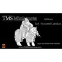 TMS Koe Mounted Castellan