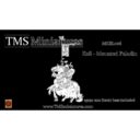 TMS Koe Mounted Paladin
