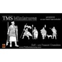 TMS Koe Peasant Crusaders X10