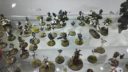 WG Warlord Games Antares Day 19
