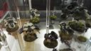 WG Warlord Games Antares Day 2