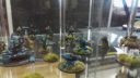 WG Warlord Games Antares Day 7