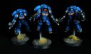 WW Weekly Watchdog Primaris Marines Dominik Wilk