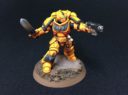 WW Weekly Watchdog Primaris Marines Graeme Tester 2