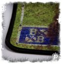 Forge World Blood Bowl REIKLAND REAVERS OLDBOWL STADIUM NEOPRENE PITCH 3