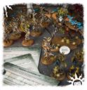 Games Workshop Warhammer Age Of Sigmar Warscroll Karten Sylvaneth 6