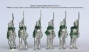 Perry Miniatures Neue Greens 01