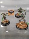 WWE Wild West Exodus GenCon 2017 19