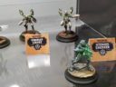 WWE Wild West Exodus GenCon 2017 20