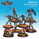 CMON Coolminiornot Dark Age Oktober 2017 Releases Shadow Caste 10