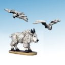 NSMF North Star Military Figures Frostgrave Ghost Archipelago Release 33