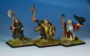 NM Northstar Oathmark Zwerge 3