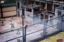 PCG Plast Craft Games ColorED Prison Post Apocalypse 2