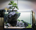 Adventskalender_Aquarium_12