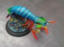 AMG Deep Wars Shrimp3