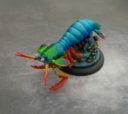 AMG Deep Wars Shrimp5