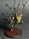 AoS 28 DarkAge Of Sigmar 18