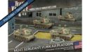 BFM Battlefront Miniatures Team Yankee Stripes Live Launch Hind Flames Of War 24
