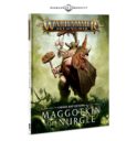 GW Games Workshop Warhammer 40k Age Of Sigmar Daemons Maggotkin Preview 17