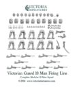 VM Victoria Miniatures Close Combat Broolians Penal Guard Previews 23