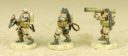 DS Dust Studio Dust 1947 Heavy Grenadier Anti Air Command Foreign Legion Hanomag 11
