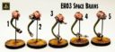 AlternativeArmies SpaceBrains 01