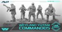 AvP Februar News2
