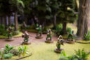 FFG SWL Commandos3