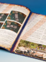 Freebooter Miniatures Tale Of Longfall #4 Vive La Debonn 2