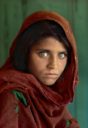 WW Weekly Watchdog Pink Label Studio Afghan Girl 1