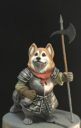 Punga Corgi2